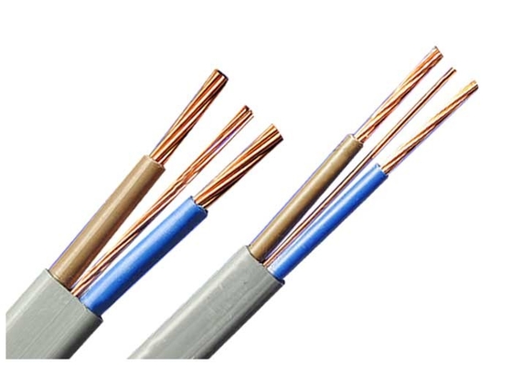LA CHINE À plat fil 2* gris 2,5 de câble électrique du jumeau BS6004-2000 et de la terre + 1.5SQMM fournisseur