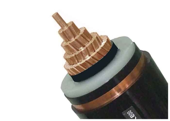 LA CHINE Cable électrique à un noyau standard de BS6622 CU/XLPE/CTS//PVC 6.36/11kV fournisseur