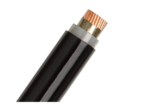 LA CHINE Câble ignifuge à un noyau 1,5 - 800sqmm 0,6/1kv le CEI 60331 60502 fournisseur