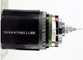 Câble en aluminium blindé électrique blindé du câble AL/XLPE/SWA/PVC système mv de YJLV32 8.7/15kV 3x300MM2 fournisseur