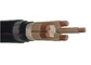 PVC 0.6/1kV a isolé le câble électrique blindé avec l'aluminium ou le cable électrique de cuivre de conducteur fournisseur