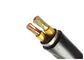 Centrale Muti - câble résistant au feu IEC60502-1 IEC60228 IEC60331 de basse tension de noyaux fournisseur