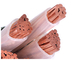 5 OIN standard KEMA du CEI de cable électrique de PVC XLPE de CU de noyaux a approuvé 600/1000V fournisseur