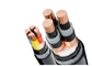 Bas/moyen câble souterrain blindé de noyaux du cable électrique de fil d'acier de tension 1 - 5 fournisseur