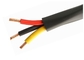 Le PVC électrique de conducteur de cuivre isolé câble le cable électrique de certificat de GOST fournisseur