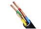 cable électrique de cuivre électrique isolé par PVC blindé de PVC de câble de 5 noyaux 0.6/1KV fournisseur