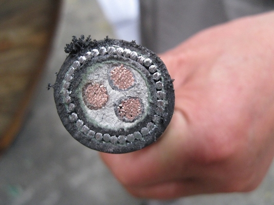 LA CHINE Cable d'alimentation électrique isolé XLPE non protégé / protégé fournisseur