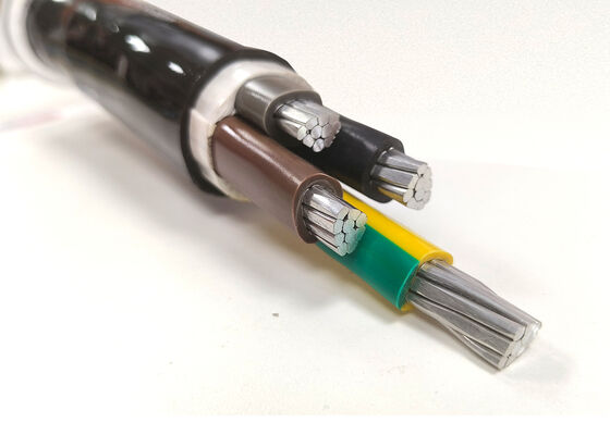 LA CHINE NYY-O 1x300mm2 Cable d'alimentation à noyau unique isolé en cuivre PVC sans oxygène pour la distribution 0.6/1kV fournisseur