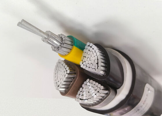 LA CHINE RVV 2x2.5mm2 Flexible Oxygen-Free Copper PVC Insulated Sheathed Cable for Home Appliance 300/500V fournisseur