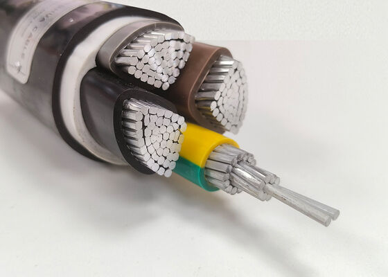 LA CHINE N2XRY 4x35mm2 Cable d'alimentation blindé en cuivre sans oxygène en PVC isolé pour le sous-sol 0,6/1kV fournisseur