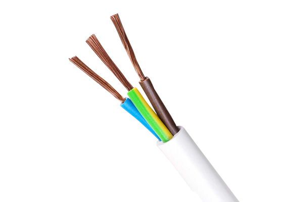 LA CHINE BVV 7 a échoué le double fil de cuivre de câble électrique de veste de PVC fournisseur