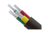 Le PVC noir de gaine a isolé les cables électriques en aluminium 0.6KV/1KV 10 millimètre carré fournisseur