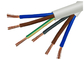 Certification recuite échouée par fil royal de la CE KEMA de câble électrique du noyau 2.5mm de la corde 3 fournisseur
