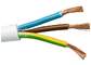 câble électrique industriel multinucléaire du fil électrique 300 de tension d'intérieur de volt 500 fournisseur