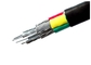 câbles isolés par PVC du noyau 1000V quatre et cable électrique engainé avec le conducteur en aluminium fournisseur
