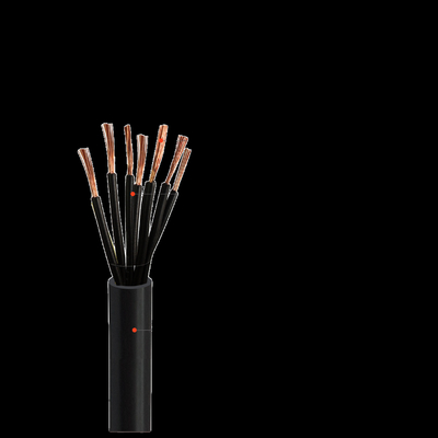 0.6kv câble isolant XLPE à cinq cœurs pour applications industrielles fournisseur