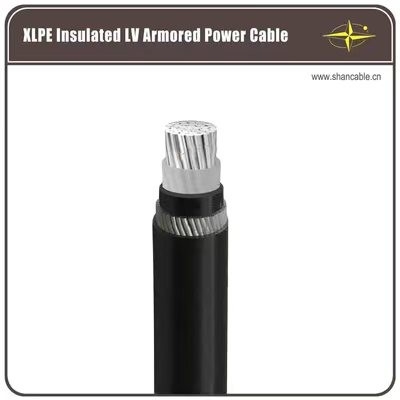 Cable d'alimentation isolé XLPE 2-5 cœurs Norme CEI 0,6/1 kV Voltage fournisseur