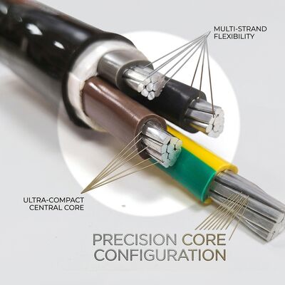 Free Sample PVC Insulated Power Cable 0.6/1kV 3x10mm2 Copper Fast Delivery fournisseur