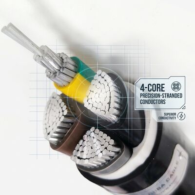 Waterproof Moisture Resistant PVC Insulated Cable 0.6/1kV 2 Core 2x4mm2 Outdoor Wet Area fournisseur