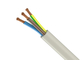 Le PVC échoué a isolé 750V 800 x fil du câble 600 électrique fournisseur