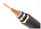 Norme blindée du câble électrique IEC60228 de bande en acier de double couche fournisseur
