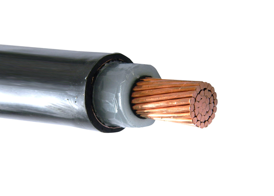 Cable d'alimentation isolée à noyau unique Xlpe pour la distribution électrique intérieure fournisseur