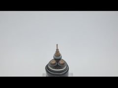 Le PVC de cuivre blindé de longueur de la SWA 100m d'AWA a engainé le câble échoué