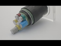 Le PVC de cuivre blindé de longueur de la SWA 100m d'AWA a engainé le câble échoué