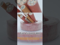 câble résistant au feu de 0,6/1kV CU/XLPE LOZH d'intérieur/câble électrique extérieur