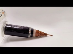 XLPE FR-PVC SWA câble électrique blindé PVC enveloppe à noyau unique